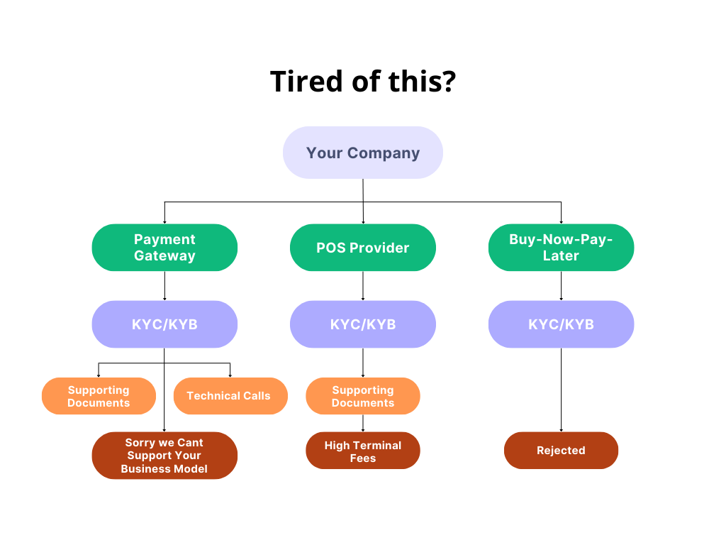 Payment methods such as POS terminals, payment gateway, and buy now pay later